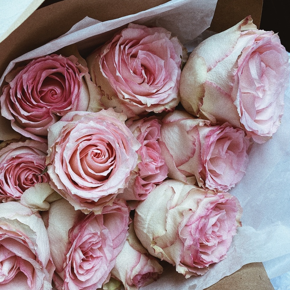 Meet your Posher, Irina